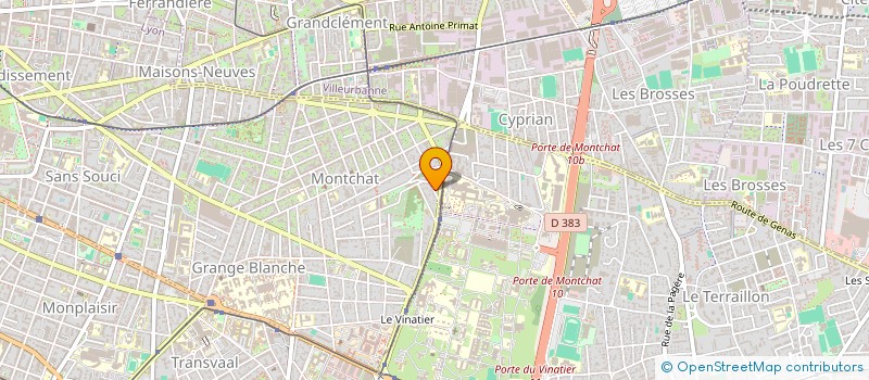 localisation de l'entreprise MADAME EVGENIIA LOPAREVA  LYON