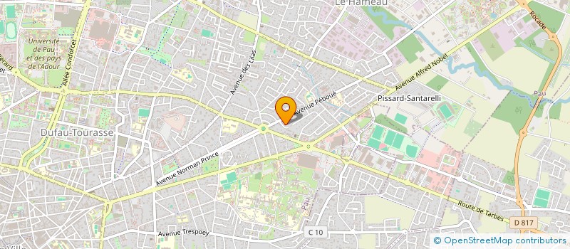 localisation de l'entreprise MADAME EVGENIYA REMIZOVA à PAU