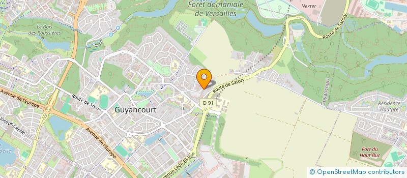 localisation de l'entreprise MADAME FABIANA FIDELIS VITORIO  GUYANCOURT