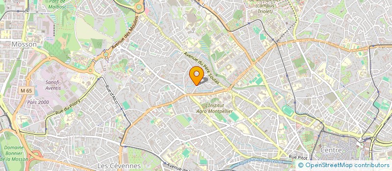 localisation de l'entreprise MADAME FABIENNE AMANS à MONTPELLIER