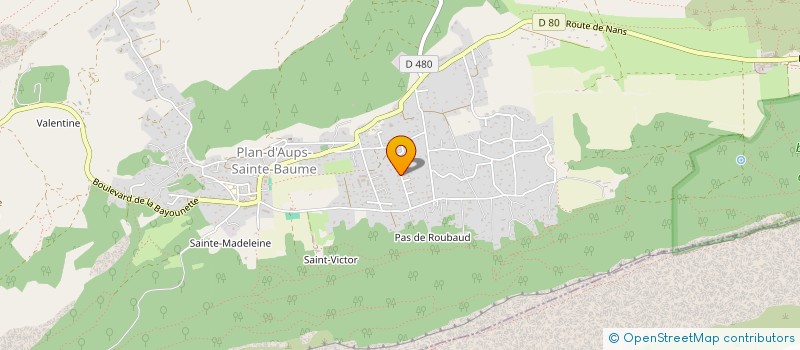 localisation de l'entreprise MADAME FABIENNE CHATEAU à PLAN-D'AUPS-SAINTE-BAUME