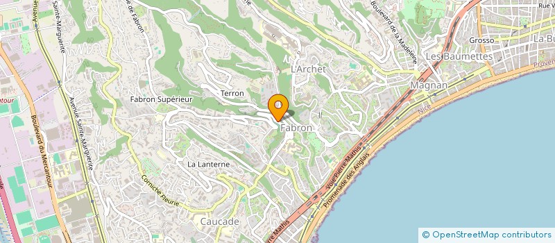 localisation de l'entreprise MADAME FABIENNE COULON à NICE