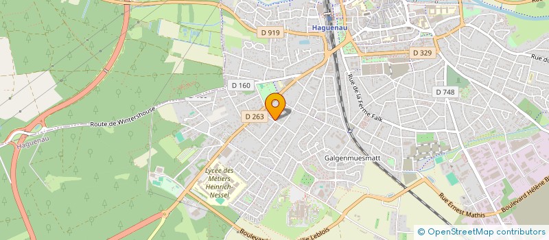 localisation de l'entreprise MADAME FABIENNE CRIQUY  HAGUENAU