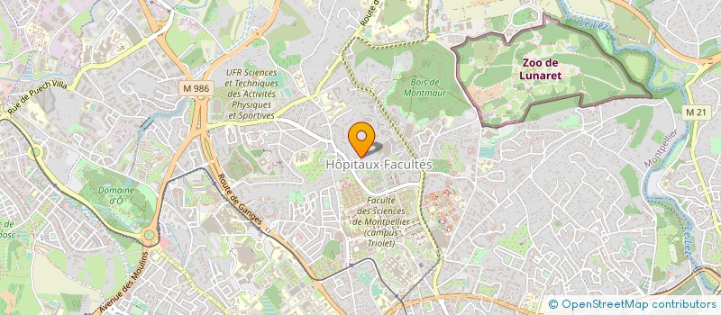 localisation de l'entreprise MADAME FABIENNE DALARD à MONTPELLIER