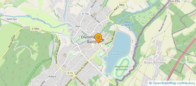 localisation de l'entreprise MADAME FABIENNE DECHILLY à DIVONNE-LES-BAINS
