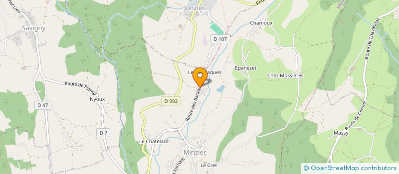 localisation de l'entreprise MADAME FABIENNE GAILLARD  MINZIER