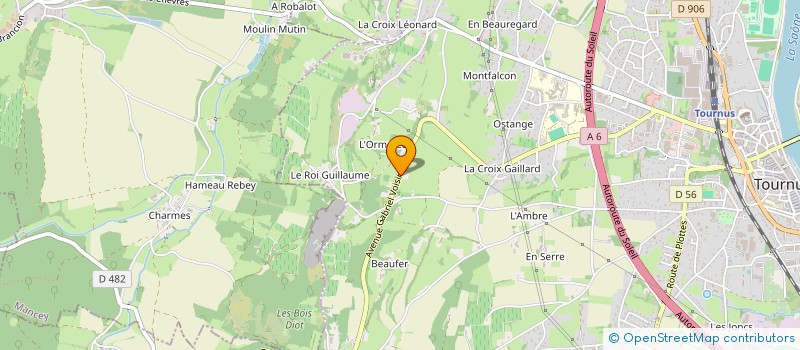 localisation de l'entreprise MADAME FABIENNE IRLES  TOURNUS