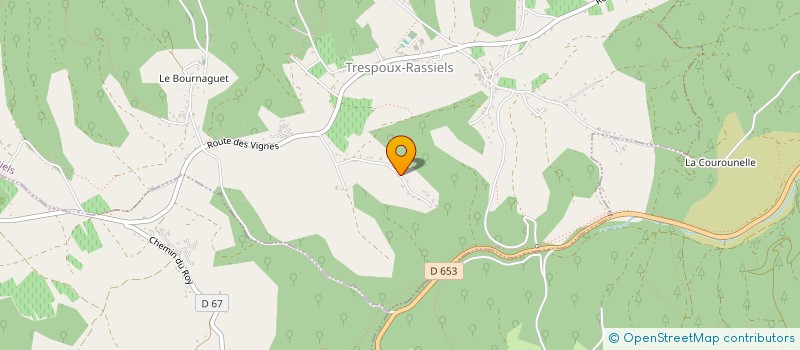 localisation de l'entreprise MADAME FABIENNE KLEEMANN à TRESPOUX-RASSIELS