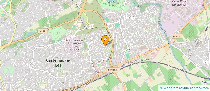 localisation de l'entreprise MADAME FABIENNE KLUIJTMANS  CASTELNAU-LE-LEZ