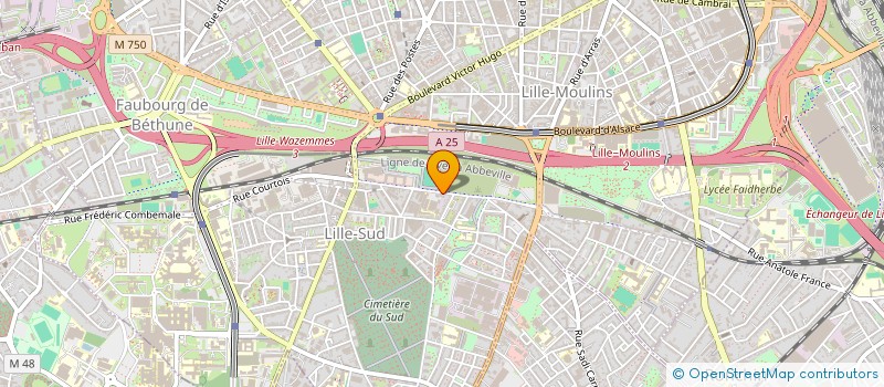 localisation de l'entreprise MADAME FABIENNE KOLACKI à LILLE
