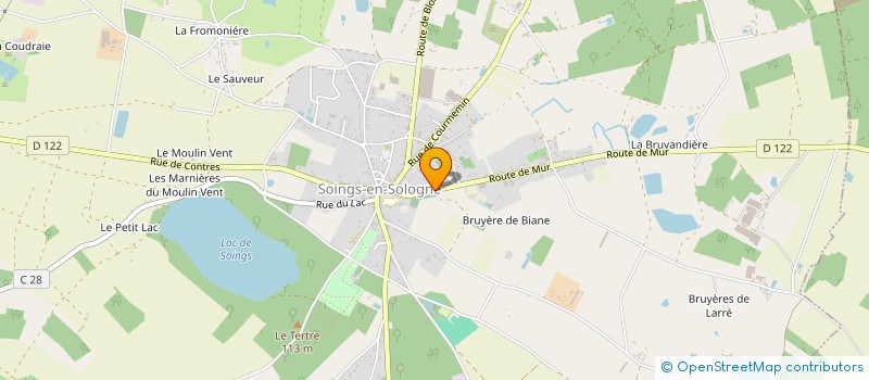 localisation de l'entreprise MADAME FABIENNE LE CLERE  SOINGS-EN-SOLOGNE