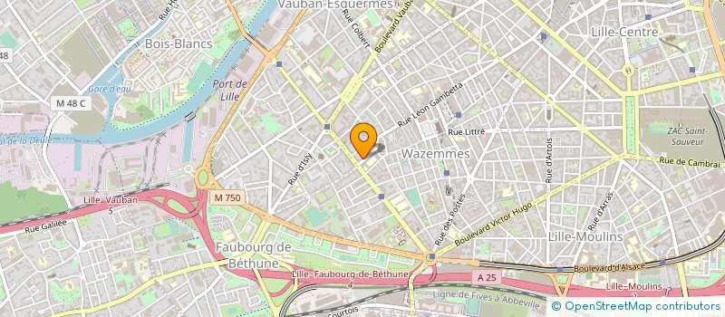 localisation de l'entreprise MADAME FABIENNE MARTINE VAN DE MOORTELE à LILLE