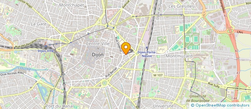 localisation de l'entreprise MADAME FABIENNE NANEIX  DIJON