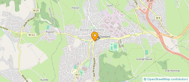 localisation de l'entreprise MADAME FABIENNE PERRICHON  ROCHE-LA-MOLIERE