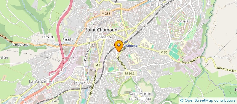 localisation de l'entreprise MADAME FABIOLA BURDUCEA  SAINT-CHAMOND