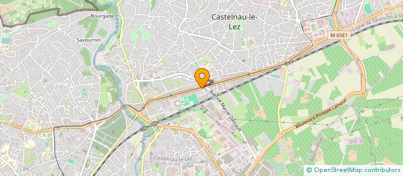 localisation de l'entreprise MADAME FABRICE DUBUS à CASTELNAU-LE-LEZ