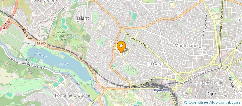 localisation de l'entreprise MADAME FADELA SALMI à DIJON