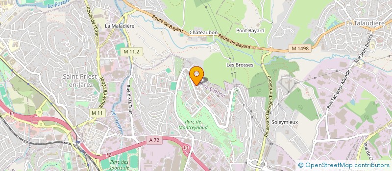 localisation de l'entreprise MADAME FAIKA OUSSENI BACO  SAINT-ETIENNE