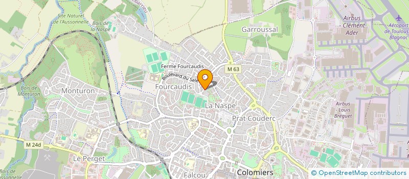 localisation de l'entreprise MADAME FAIZA CHACHE à COLOMIERS
