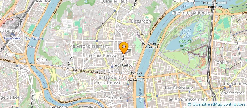 localisation de l'entreprise MADAME FAIZA EL GUIZANI  LYON