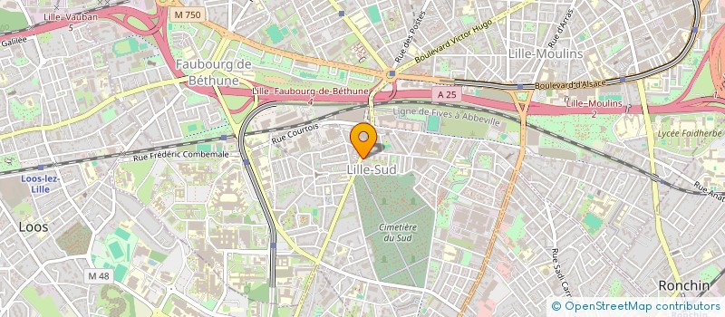 localisation de l'entreprise MADAME FAIZA TERBECHE à LILLE