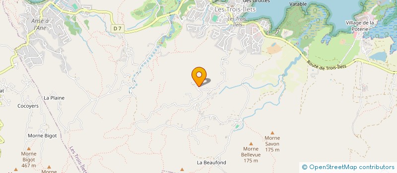 localisation de l'entreprise MADAME FALVIE LEGER  LES TROIS-ILETS