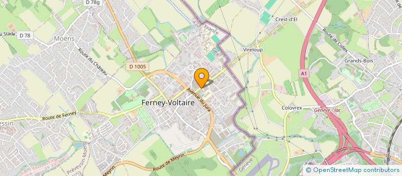 localisation de l'entreprise MADAME FANA WOLDEGEBREAL à FERNEY-VOLTAIRE