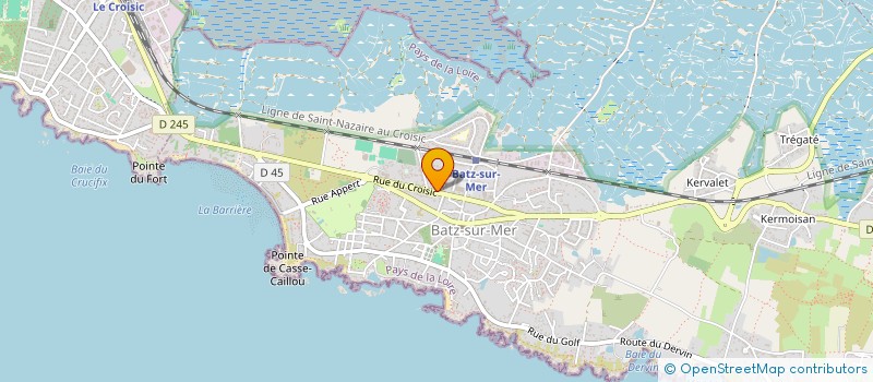 localisation de l'entreprise MADAME FANNY BLAIN  BATZ-SUR-MER