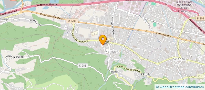 localisation de l'entreprise MADAME FANNY BOURON  MARNAZ