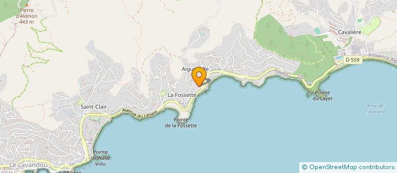 localisation de l'entreprise MADAME FANNY CHABOUD à LE LAVANDOU