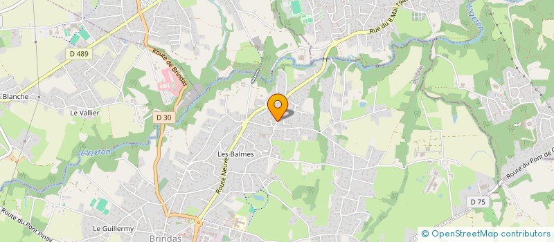 localisation de l'entreprise MADAME FANNY CHAVEROT  BRINDAS