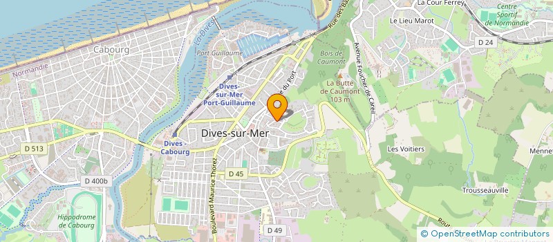 localisation de l'entreprise MADAME FANNY CHELY  DIVES-SUR-MER