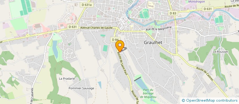 localisation de l'entreprise MADAME FANNY DALLANCOURT à GRAULHET