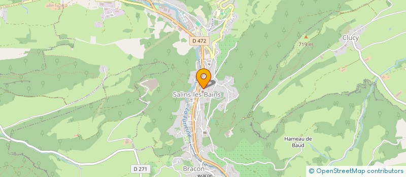 localisation de l'entreprise MADAME FANNY DECAVELE BONNEAU à SALINS-LES-BAINS
