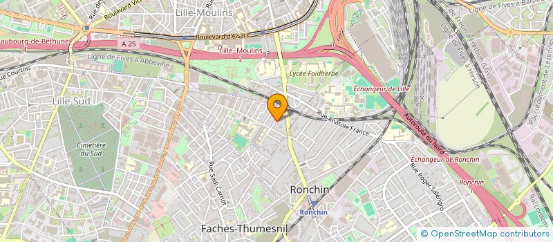 localisation de l'entreprise MADAME FANNY DIPRE  LILLE