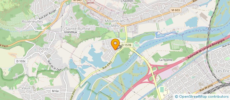 localisation de l'entreprise MADAME FANNY DITTMANN à MOULINS-LES-METZ
