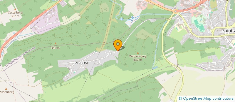 localisation de l'entreprise MADAME FANNY DUBOIS  SAINT-AVOLD