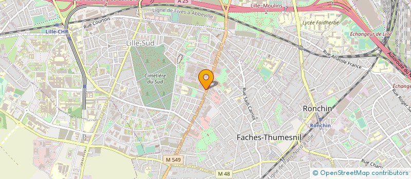 localisation de l'entreprise MADAME FANNY HEDIN à LILLE