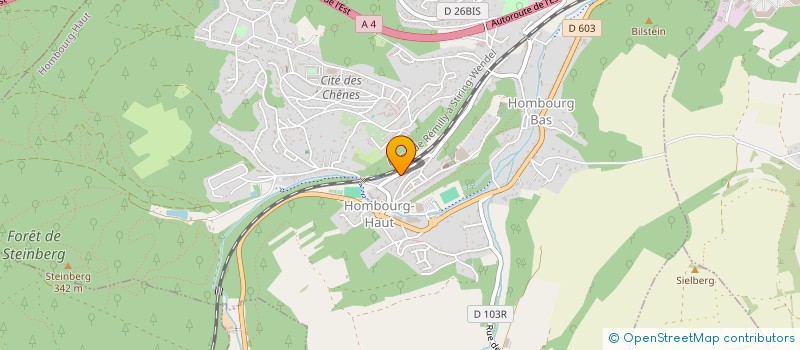 localisation de l'entreprise MADAME FANNY IBBA  HOMBOURG-HAUT