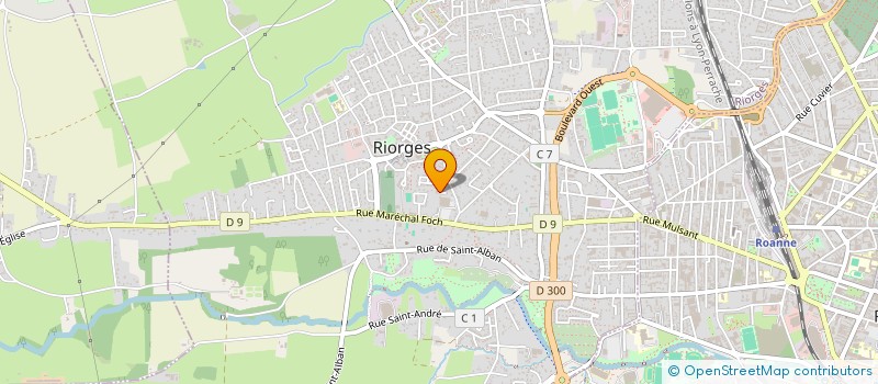 localisation de l'entreprise MADAME FANNY LEDIEU  RIORGES