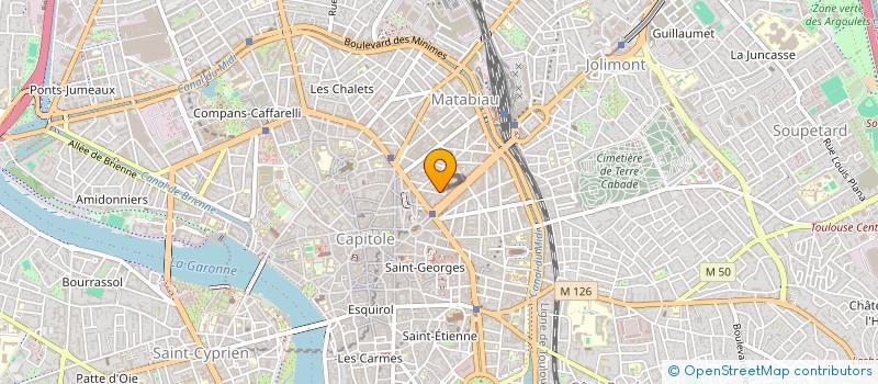 localisation de l'entreprise MADAME FANNY MAPPAS à TOULOUSE