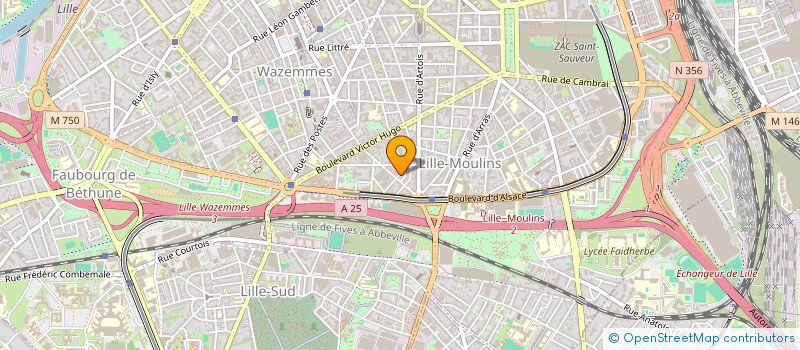 localisation de l'entreprise MADAME FANNY MICHEL à LILLE