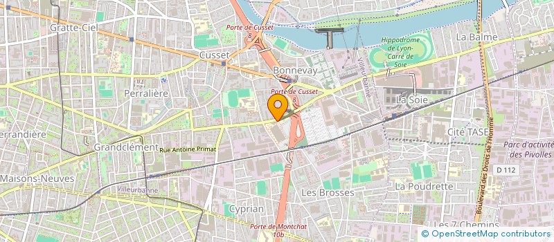 localisation de l'entreprise MADAME FANNY MOREAU  VILLEURBANNE