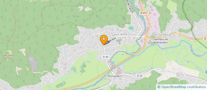 localisation de l'entreprise MADAME FANNY QUEVEDO DIAZ  SAINT-AME