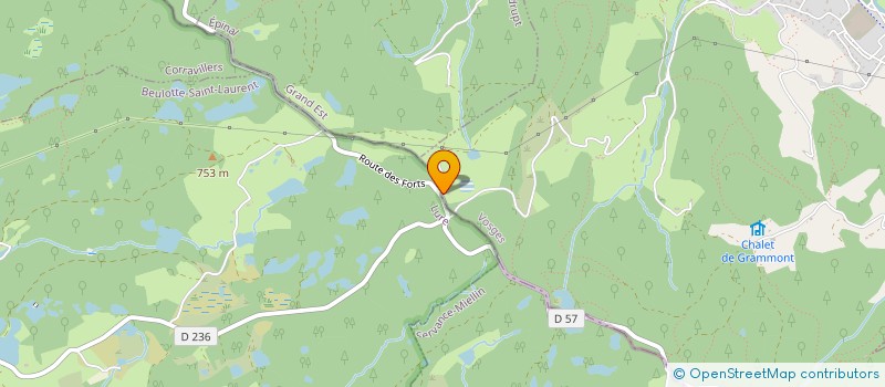 localisation de l'entreprise MADAME FANNY REMARCK  RAMONCHAMP