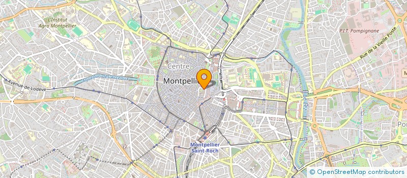localisation de l'entreprise MADAME FANNY ROUMESTAN à MONTPELLIER