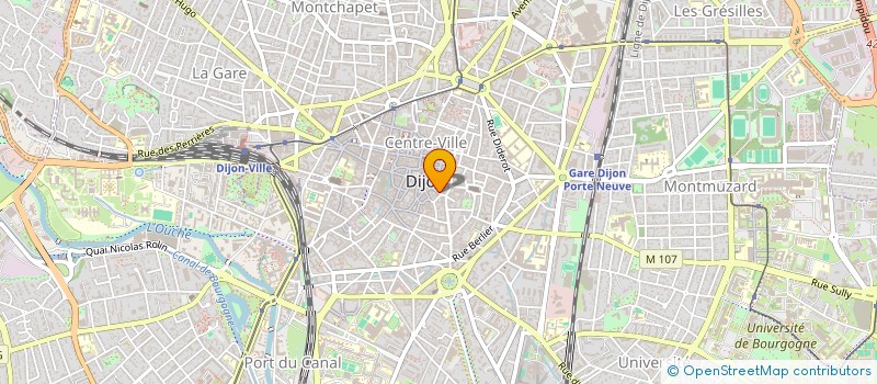 localisation de l'entreprise MADAME FANNY ROUSSEL à DIJON