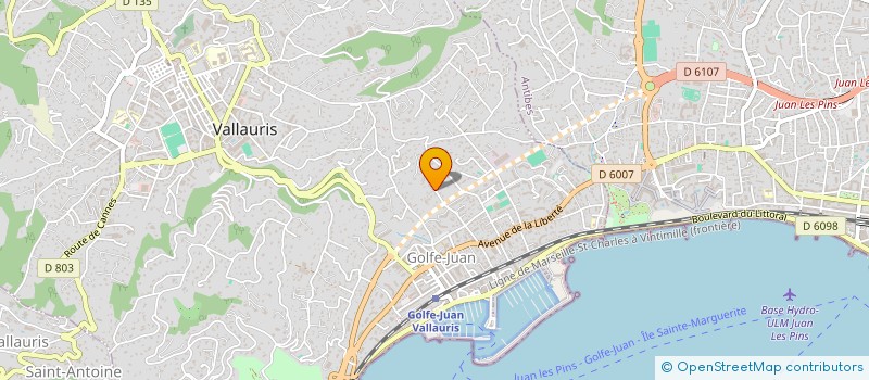 localisation de l'entreprise MADAME FANNY TORRECILLAS CASAS  VALLAURIS