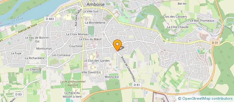 localisation de l'entreprise MADAME FANNY TOSONI  AMBOISE