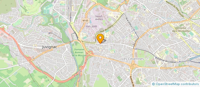 localisation de l'entreprise MADAME FANNY WALBERG à MONTPELLIER